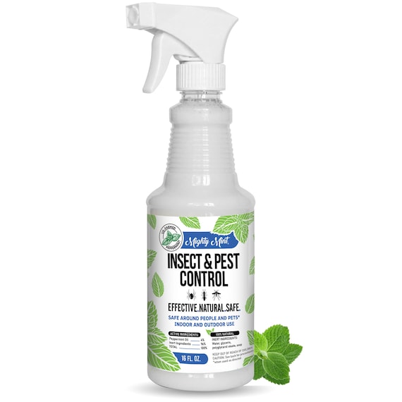 Insect Control Peppermint Oil Get Rid of Spiders Get Rid Etsy