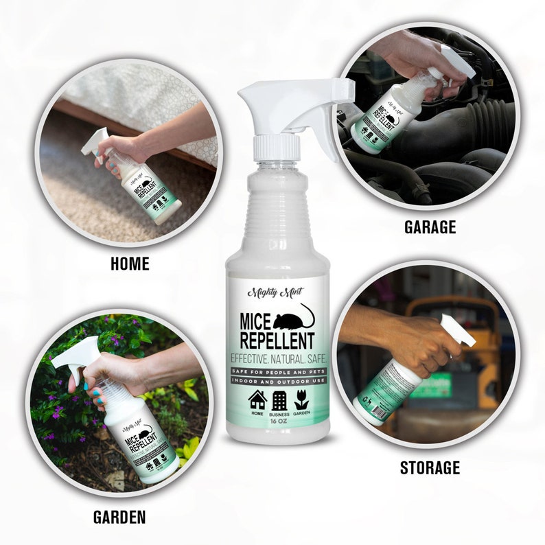 Mice Repellent Peppermint Spray 16 oz Etsy