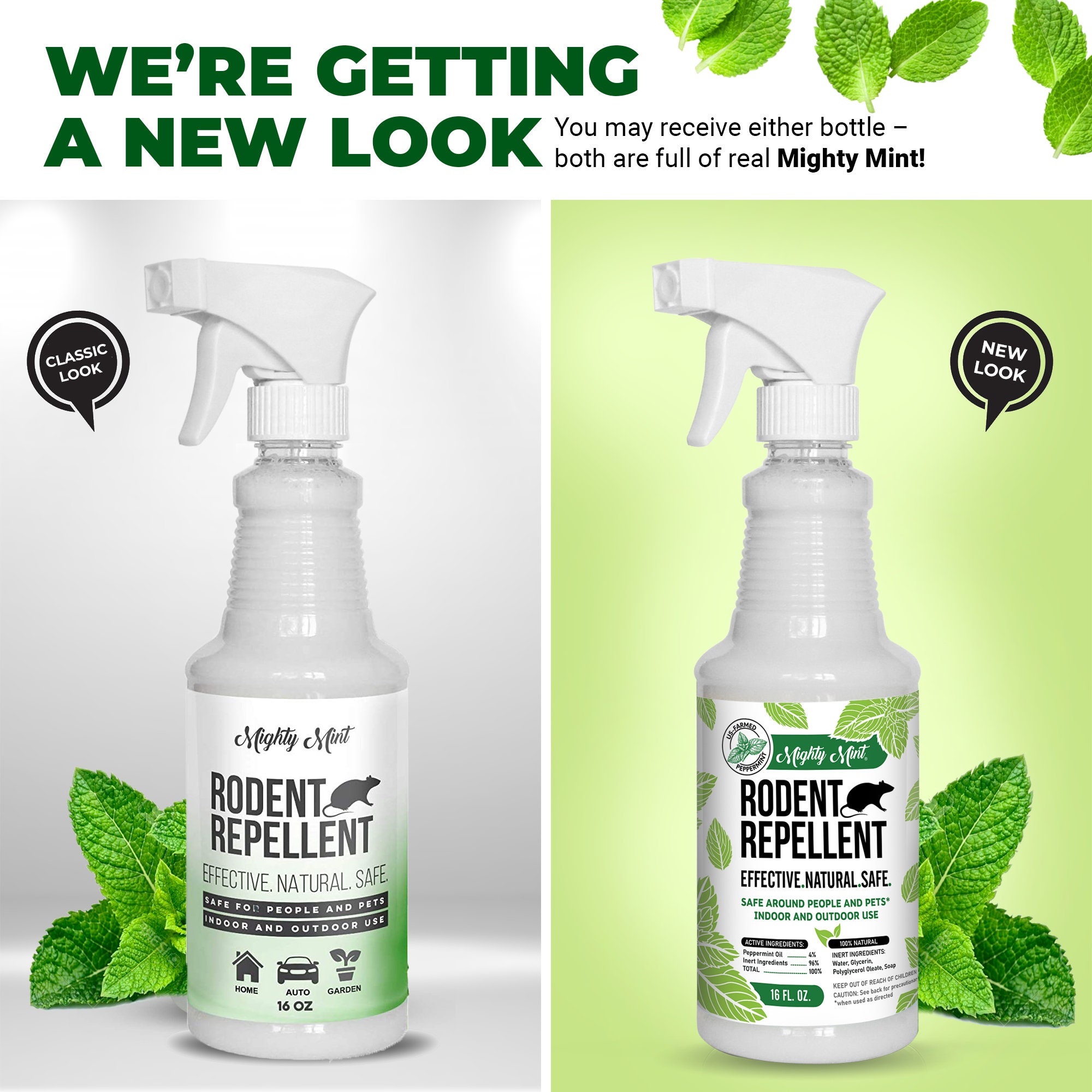 Peppermint Rodent Repellent Spray Get Rid of Mice Get Rid Etsy