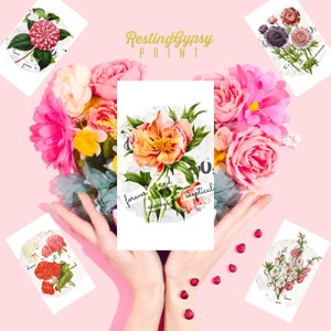Notes d'amour sarcastiques, imprimables Saint-Valentin sarcastique, Anti-valentin, valentine bricolage, valentine rigolote, Rupture, Galentine, Cartes Nuit De Filles