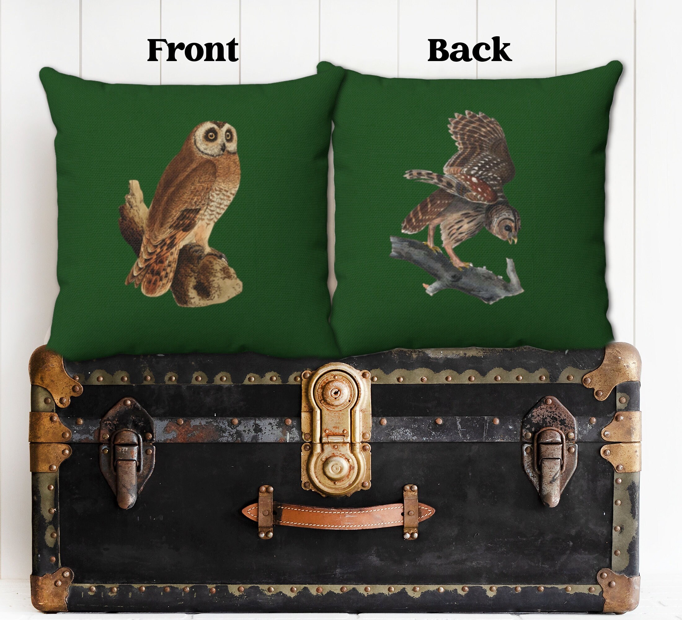 Owl Pillow Covers Vintage Artwork Reversible with Green Background in 4 Sizes, Owl Decor, Owl Throw 