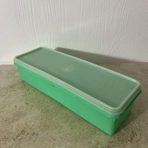 May include: A rectangular, green plastic container with a matching lid. The lid has a lighter green border and a circular emblem in the center. The container is sitting on a concrete surface.
