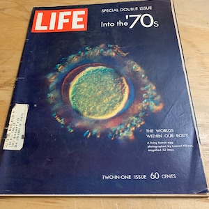 Life Magazine Into the 80’s Special Double Issue