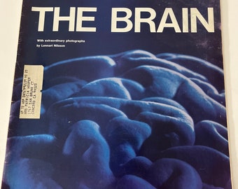 Life Magazine October 1 1971 Brain Attica Erma Bombeck Surfing Val Tereshkova