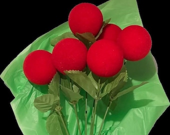 Funny Half Dozen RED NOSES FLOWER Bouquet 6 Foam Ball Stems Clown Gag Prank Roses Gift Joke Valentines Day Anniversary Birthday Retirement