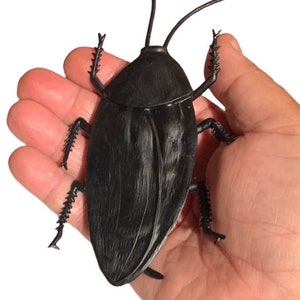 Vintage JUMBO COCKROACH 6&quot; Giant Rubber Fake Bug Prank Joke Gag Funny Roach Halloween Prop Decoration Scary Creepy Gift Big Oversized Giant