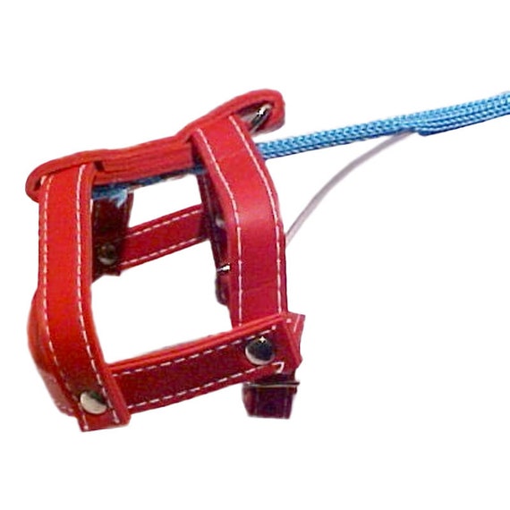Invisible dog cheap walking leash