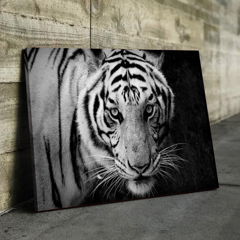 White Tiger Canvas Set Poster Home Decor Artwork Tiger Etsy