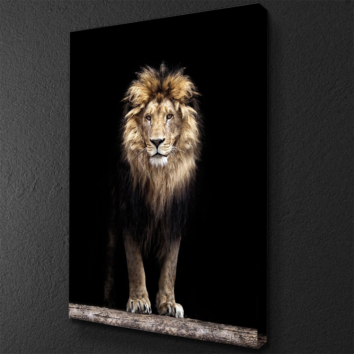 Glorious Lion Canvas Set African Lion canvas print Interior Etsy