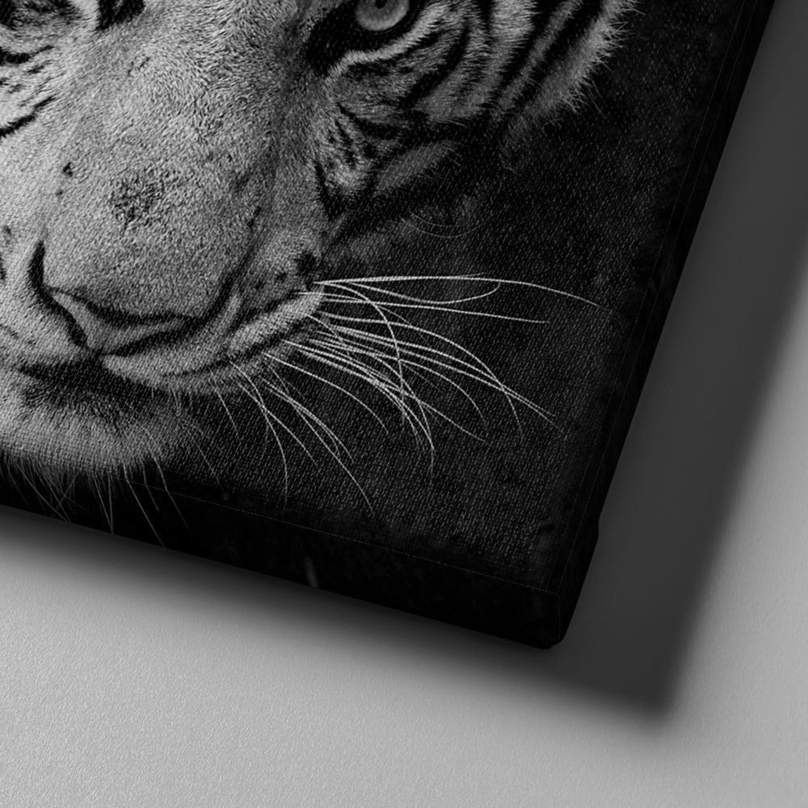 White Tiger Canvas Set Poster Home Decor Artwork Tiger Etsy