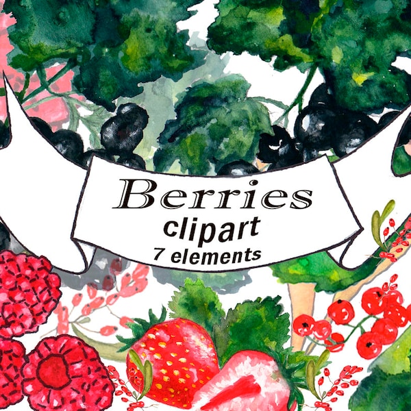 Berries Watercolor clip art. clipart barberry red-7 files, clipart chaff. clipart raspberries, DIGITAL clipart.Berries picture. clipart png