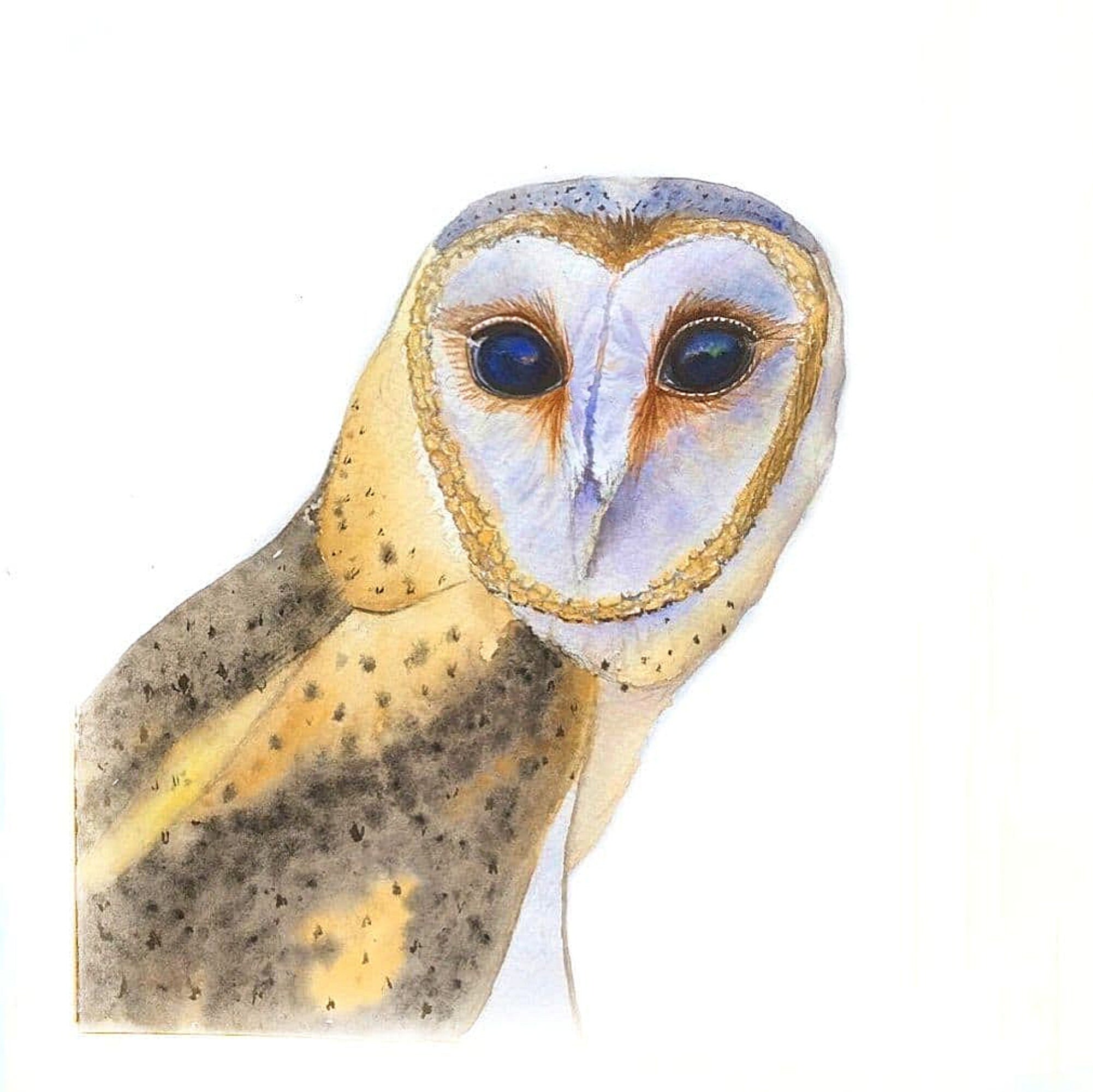 Original Aquarell Malerei Eule wilde Vögel Dekor / Original | Etsy