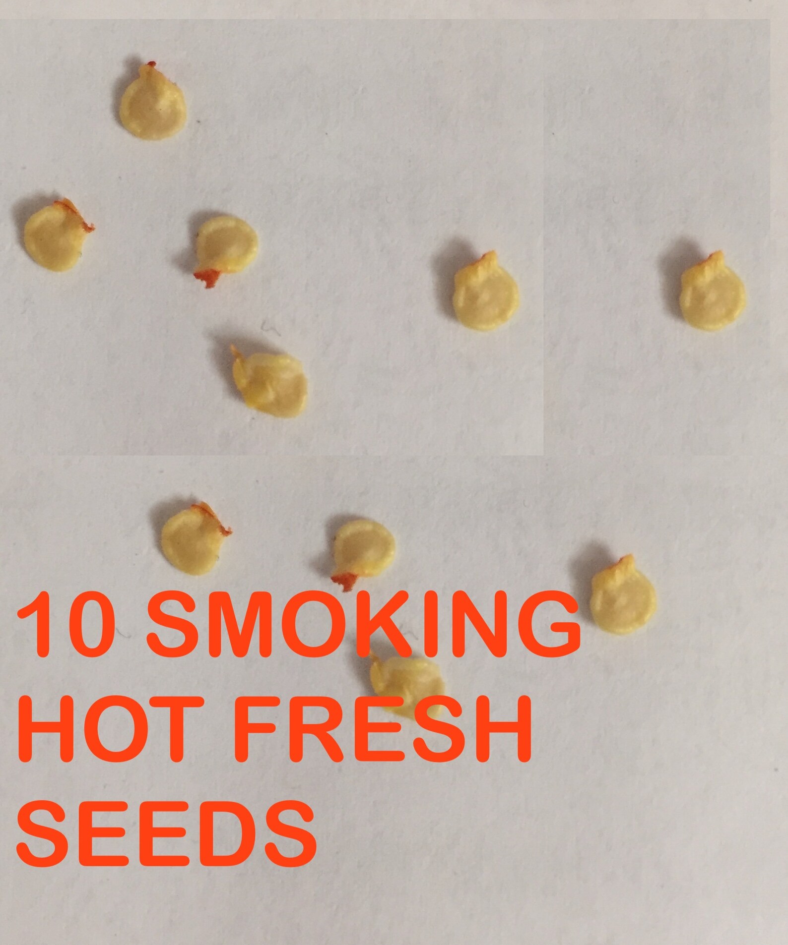 carolina reaper seeds germination time