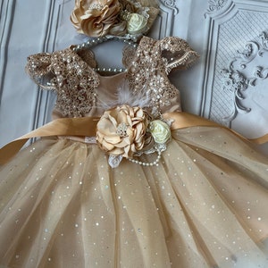 Champagne dress , 1er birthday dress,  flower girl dress,tulle tutu dress, Baby toddler dress,