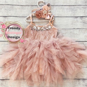 Dusty pink blush .flower girl dress,  Feathers top,Baby  toddler dress,tulle and feathers , girl wedding dress