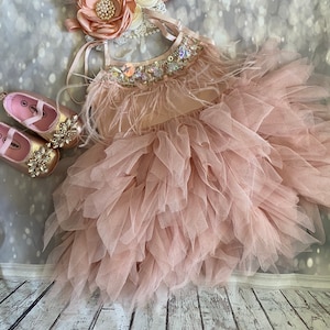 1er birthday. Dress, Mauve /pink flower girl dress,  Feathers top,Baby  toddler dress, flower girls dresses