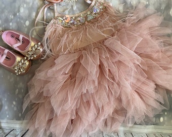 1er birthday. Dress, Mauve /pink flower girl dress,  Feathers top,Baby  toddler dress, flower girls dresses
