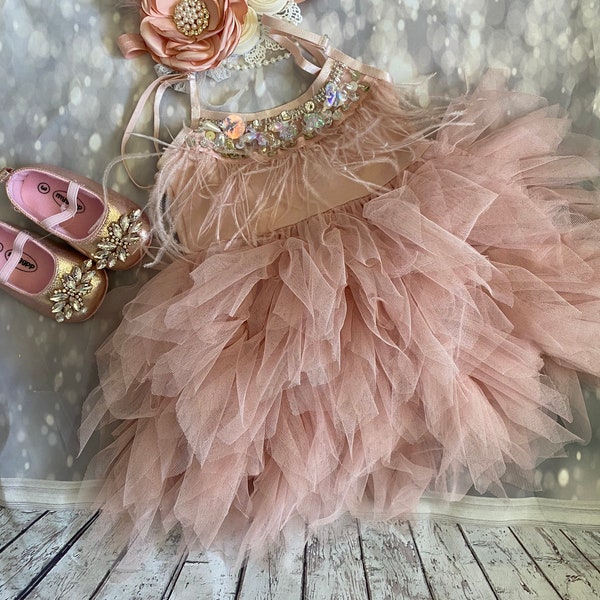 1er birthday. Dress, Mauve /pink flower girl dress,  Feathers top,Baby  toddler dress, flower girls dresses