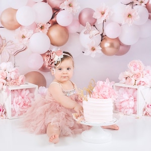 Fard à joues rose poudré, robe de demoiselle d'honneur, tenue de premier anniversaire, photos de gâteau cassé, robe pour tout-petit, robe de mariée fille en tulle et plumes