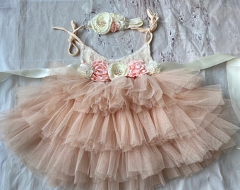 May include: A pale pink tulle dress with a white satin sash and a flower headband. The dress has multiple layers of tulle and is decorated with pink and white fabric flowers.