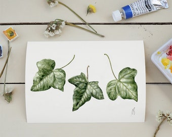 English Ivy Painting, Mother's Day Gift, Watercolor Ivy, Ivy Botanical Leaves Illustration, Greenery Art, Nature Lover Gift, 13x18 cm/ 5"x7"