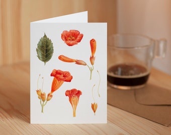 Trumpet Vine Botanical Greeting Card, Mother's Day Greeting Gift Card, Watercolor Vintage Style Botanical Illustration, With Craft Envelope