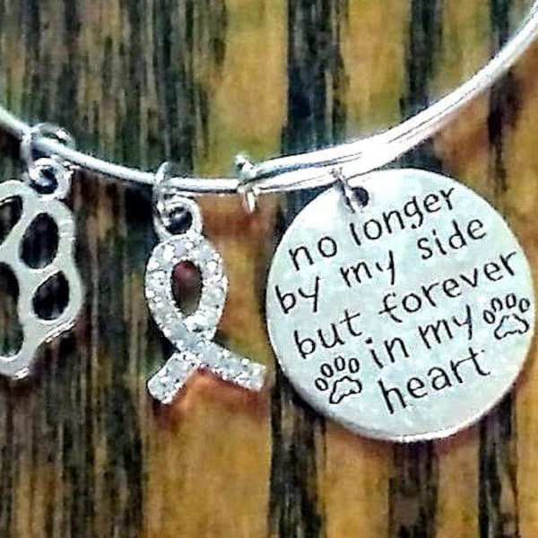 Silver Pet Memorial Bracelet, Pet In Memory Gift, Dog Cancer, Cat Cancer, Rainbow Bridge, Dog Loss Gift, Pet Loss Jewelry, Loss of Pet Gift