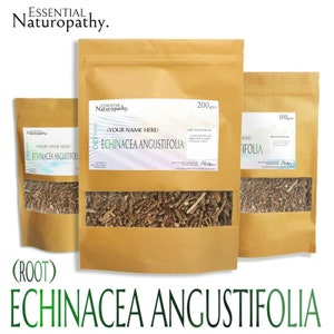 ECHINACEA ANGUSTIFOLIA ROOT Dried Herb Wildcrafted Loose Tea Premium Grade