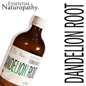 BIO Löwenzahnwurzel Tinktur Flüssigextrakt (Taraxacum officinale) Premium