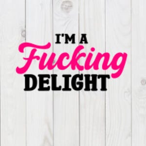 I'm a F*cking Delight, grappig SVG-bestand, pdf, png, dxf, digitale download, cricut gesneden bestand