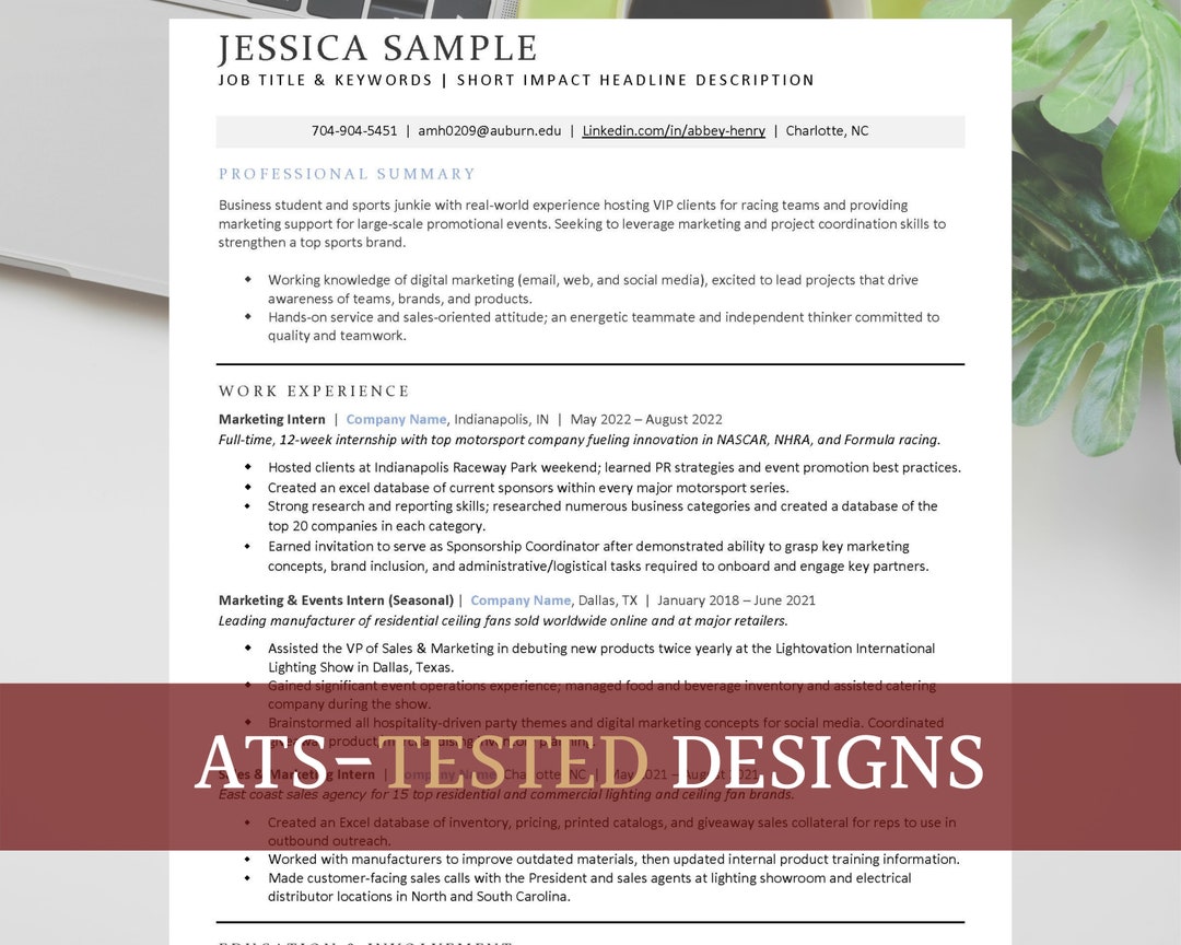 RESUME EXAMPLES 2023 PDF visual data 7