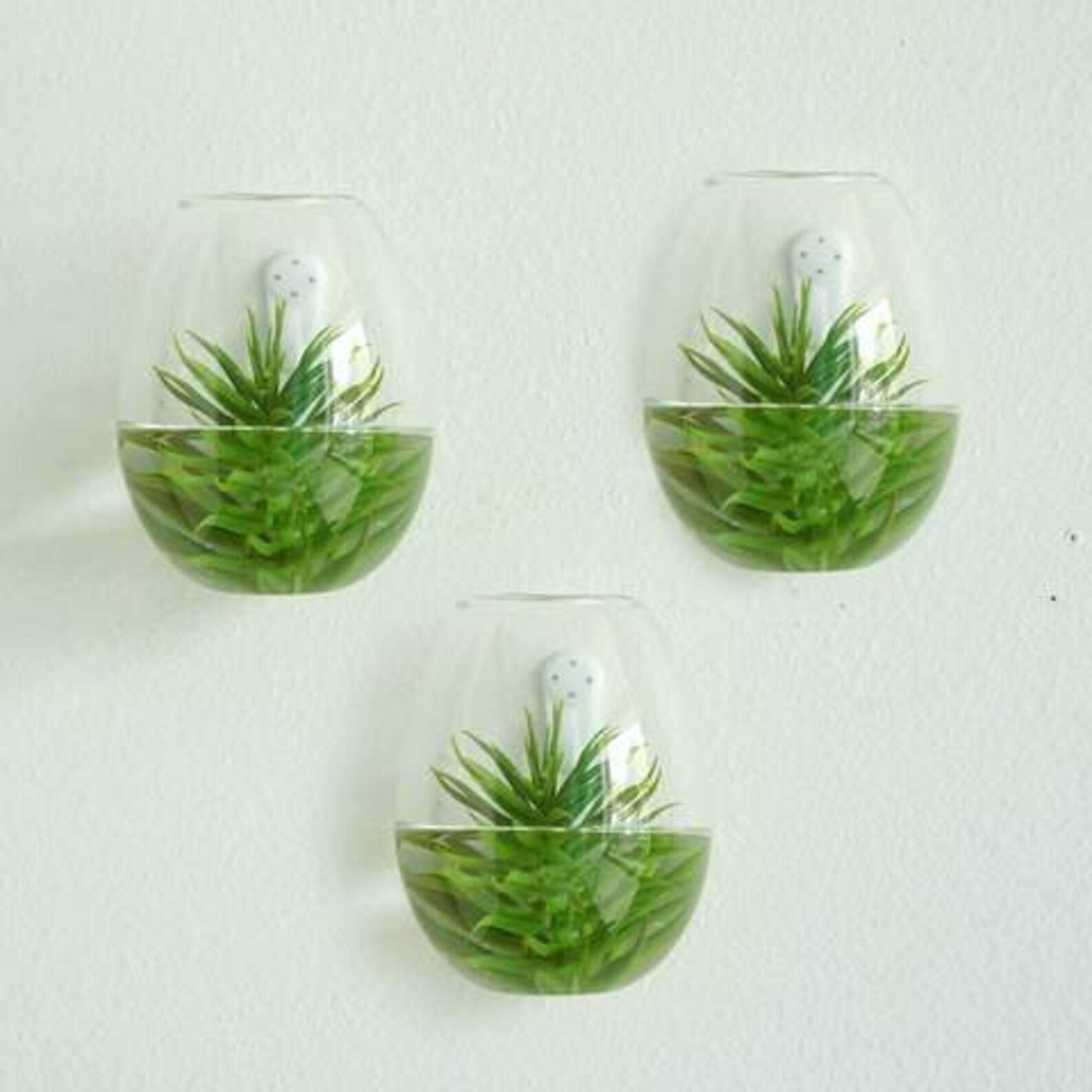 SALE 3 PACK Glass Wall Planters Indoor Plants Holder Wall Etsy