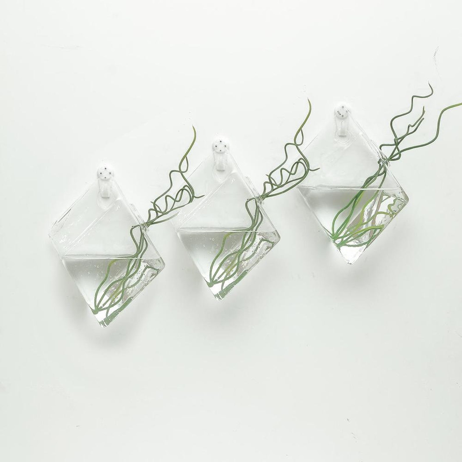 SALE 3 PACK Glass Wall Planters Indoor Plants Holder Wall Etsy