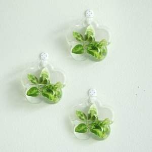 SALE 3 PACK Glass Wall Planters, Indoor Plants Holder Wall Vase Art Wall Decorations, Wall Terrarium