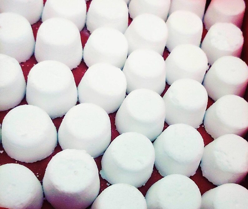 Toilet Fizzies Toilet Bombs Non Toxic Essential Oils Eco Etsy