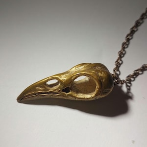 May include: A gold-colored bird skull pendant necklace. The pendant is detailed and realistic, with a hollow eye socket. The necklace is made of a thin, silver-colored chain.