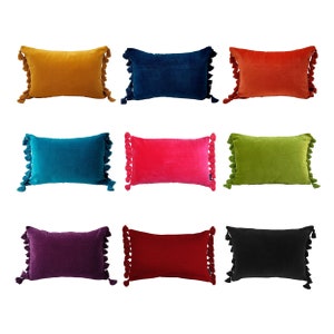 Velvet Cushion, Tassel Cushion, Green Velvet Cushion, Oblong Cushions, Burnt Orange Cushions, Throw Pillow, Pink Velvet Lumbar Cushion,Porch