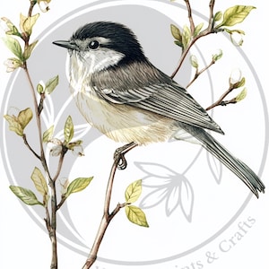 60 Charming Cottagecore Nature Art Digital Download Digital Art Printable Kit Instant Digital Download Vintage Images Scrapbooking