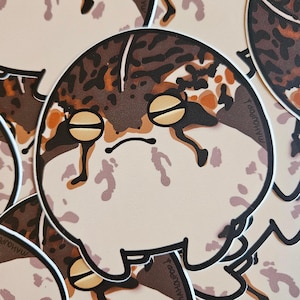 Sticker 3 pouces grenouille pluie du désert