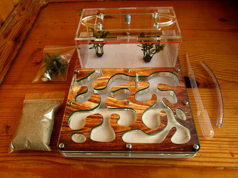 Ant Farm Educational Kit formicarium ant Etsy