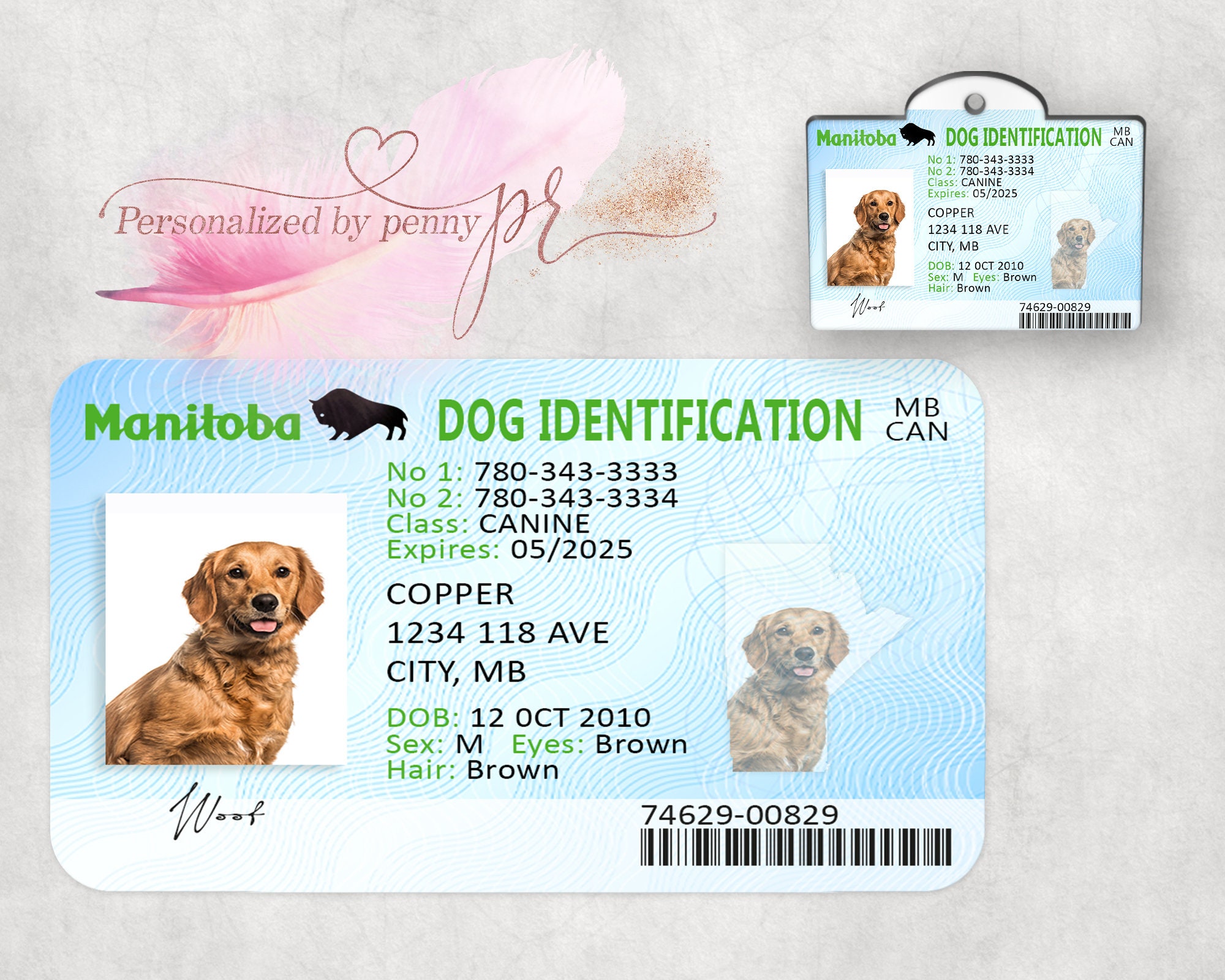 Does Indiana Require Dog License