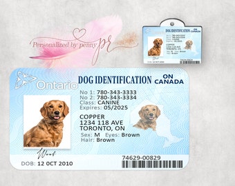 drivers licence dog tag