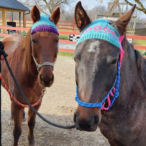 Knit Horse Hat Pattern image 1