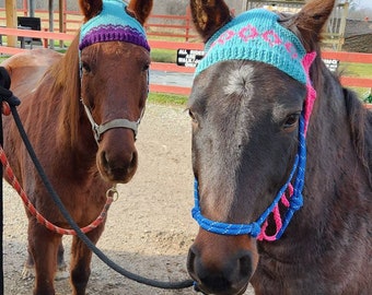 Modèle de bonnet de cheval en tricot