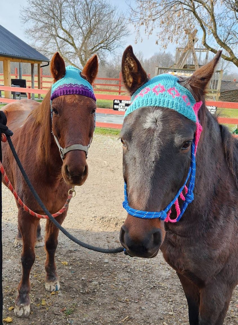 Knit Horse Hat Pattern image 1