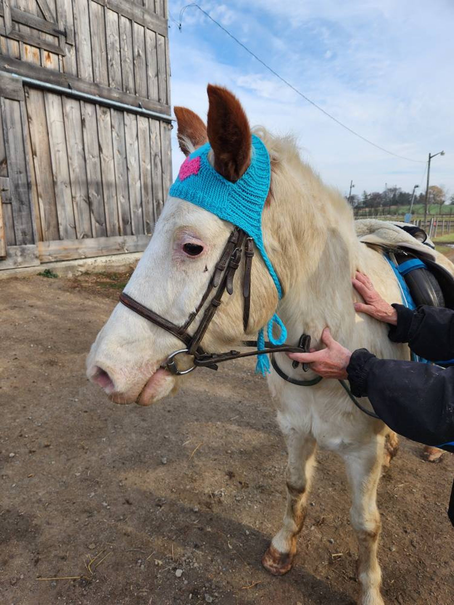 Knit Horse Hat Pattern Etsy