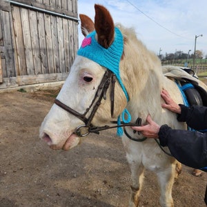 Knit Horse Hat Pattern image 5