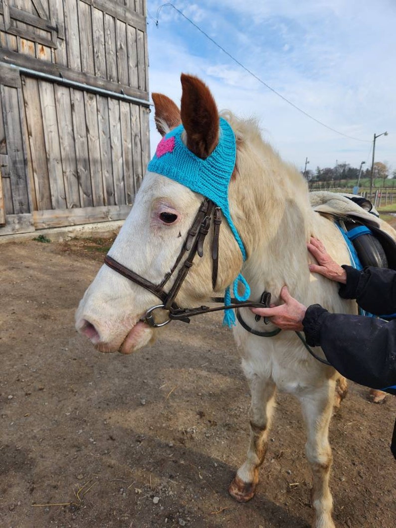 Knit Horse Hat Pattern Etsy