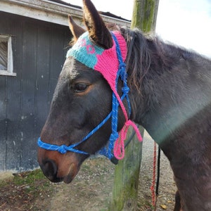 Knit Horse Hat Pattern image 3