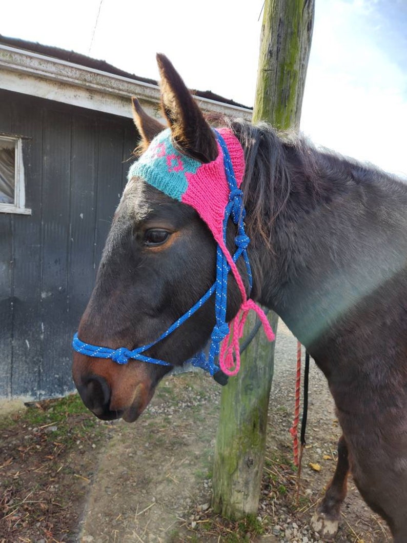 Knit Horse Hat Pattern image 3